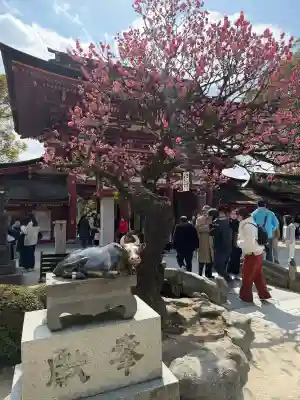 太宰府天満宮の{uncategorized: "未分類", other: "その他", undefined: "問題あり", building: "その他建物", grave: "お墓", sacred_gate: "鳥居", guardian: "狛犬", statue: "像", buddha: "仏像", history: "歴史", nature: "自然", garden: "庭園", animal: "動物", pagoda: "塔", temizu: "手水舎", mountain_gate: "山門・神門", sanctuary: "本殿・本堂", subordinate: "末社・摂社", art: "芸術", scenery: "景色", jizo: "地蔵", ema: "絵馬", goshuin: "御朱印", omikuji: "おみくじ", items: "授与品その他", amulet: "お守り", goshuincho: "御朱印帳", eats: "食事", festival: "お祭り", votive_dance: "神楽", shichigosan: "七五三参", wedding: "結婚式", experience: "体験その他", initially: "初詣", around: "周辺", anti_infection: "感染症対策"}