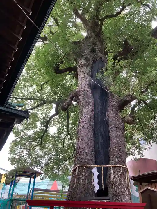 五方山熊野神社(東京都)