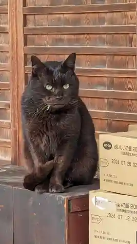 梅宮大社(京都府)