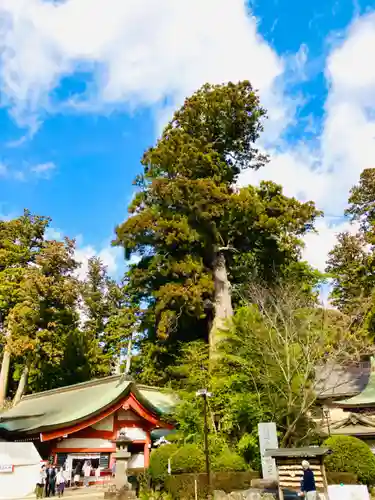 香取神宮(千葉県)