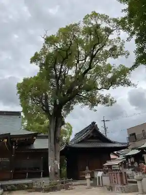 天地社(愛知県)