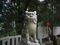 鴨神社の狛犬