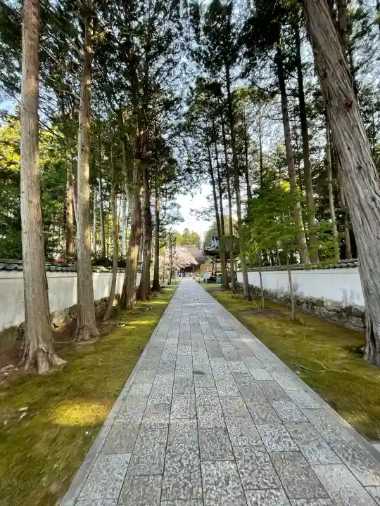 國分寺(高知県)