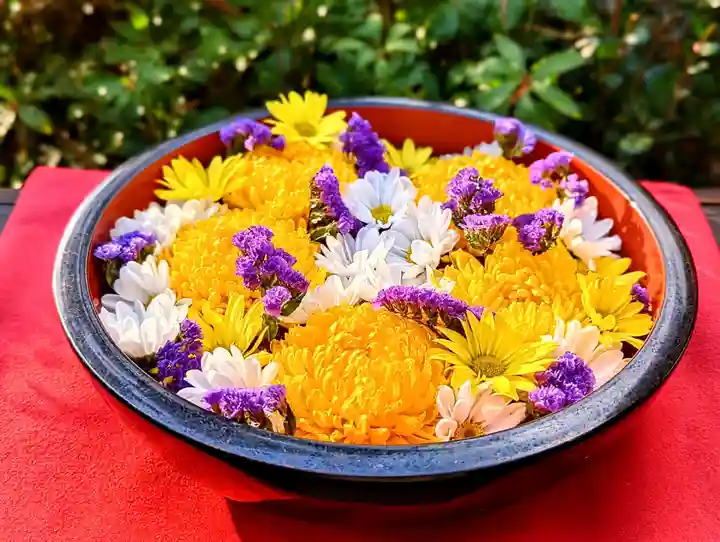 増上寺塔頭 三縁山 宝珠院の手水舎