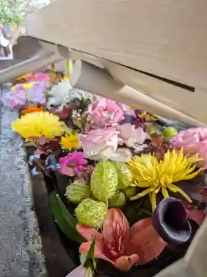 鳩森八幡神社(東京都)