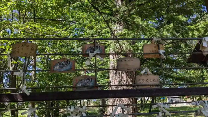 神楽神社の絵馬
