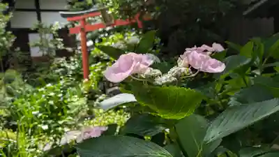 宝蔵寺(京都府)