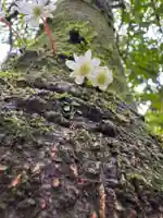 大谷寺の御朱印