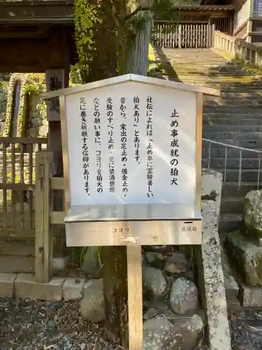 鎮西大社諏訪神社の{uncategorized: "未分類", other: "その他", undefined: "問題あり", building: "その他建物", grave: "お墓", sacred_gate: "鳥居", guardian: "狛犬", statue: "像", buddha: "仏像", history: "歴史", nature: "自然", garden: "庭園", animal: "動物", pagoda: "塔", temizu: "手水舎", mountain_gate: "山門・神門", sanctuary: "本殿・本堂", subordinate: "末社・摂社", art: "芸術", scenery: "景色", jizo: "地蔵", ema: "絵馬", goshuin: "御朱印", omikuji: "おみくじ", items: "授与品その他", amulet: "お守り", goshuincho: "御朱印帳", eats: "食事", festival: "お祭り", votive_dance: "神楽", shichigosan: "七五三参", wedding: "結婚式", experience: "体験その他", initially: "初詣", around: "周辺", anti_infection: "感染症対策"}