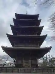 東寺（教王護国寺）(京都府)