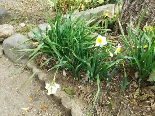 大蔵院(群馬県)