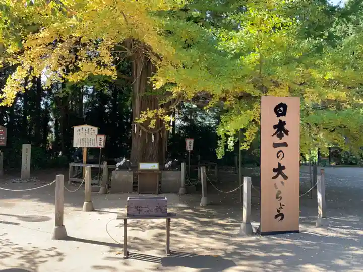 水戸八幡宮の自然