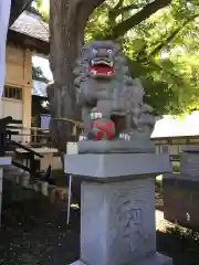 豊平神社の狛犬