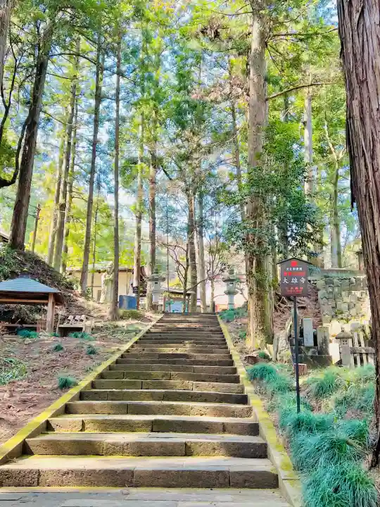 大雄寺の{uncategorized: "未分類", other: "その他", undefined: "問題あり", building: "その他建物", grave: "お墓", sacred_gate: "鳥居", guardian: "狛犬", statue: "像", buddha: "仏像", history: "歴史", nature: "自然", garden: "庭園", animal: "動物", pagoda: "塔", temizu: "手水舎", mountain_gate: "山門・神門", sanctuary: "本殿・本堂", subordinate: "末社・摂社", art: "芸術", scenery: "景色", jizo: "地蔵", ema: "絵馬", goshuin: "御朱印", omikuji: "おみくじ", items: "授与品その他", amulet: "お守り", goshuincho: "御朱印帳", eats: "食事", festival: "お祭り", votive_dance: "神楽", shichigosan: "七五三参", wedding: "結婚式", experience: "体験その他", initially: "初詣", around: "周辺", anti_infection: "感染症対策"}