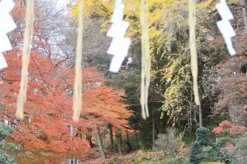 三春大神宮の自然