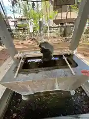 神炊館神社 ⁂奥州須賀川総鎮守⁂の手水