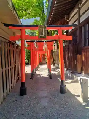 堀越神社(大阪府)