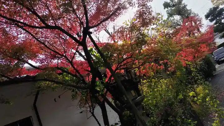 賀茂波爾神社(賀茂御祖神社境外摂社)(京都府)