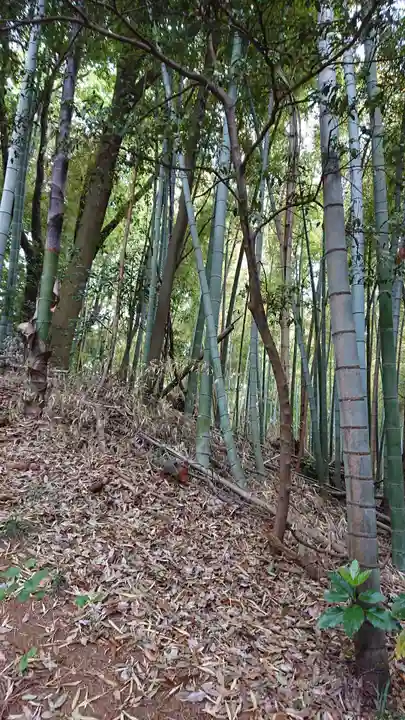 諏訪神社の周辺