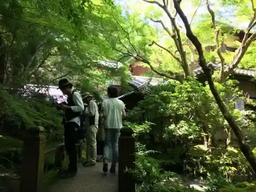 光明寺瑠璃光院の建物その他