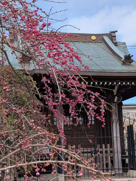 白山神社(東京都)