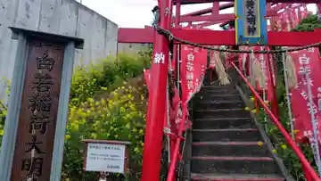 正一位白若稲荷神社(神奈川県)