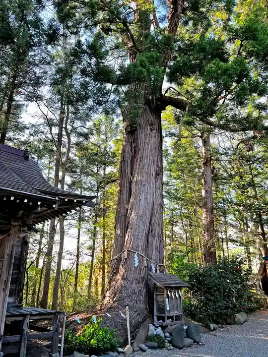 鎮守府八幡宮の自然