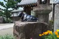 大松禅寺(京都府)