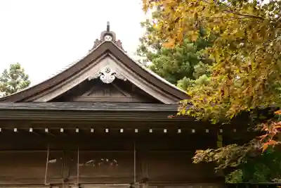 龍王神社(愛媛県)