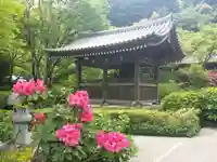 久安寺の自然