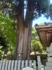 伊富岐神社(岐阜県)