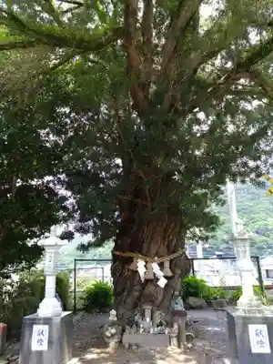 陶山神社(佐賀県)