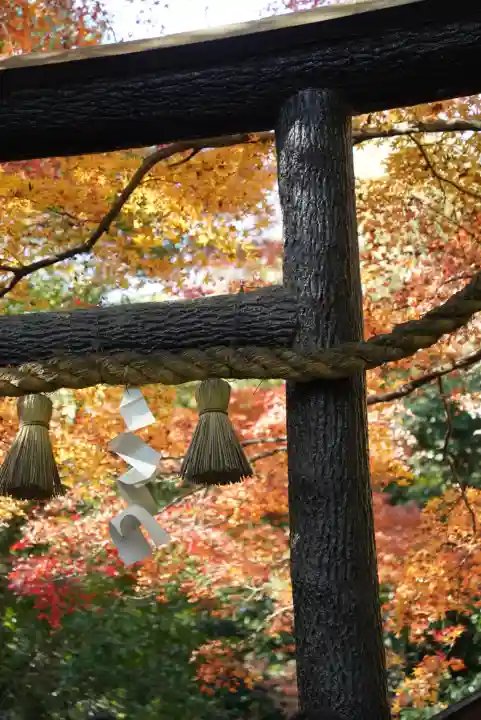 野宮神社(京都府)