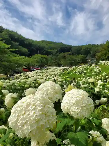 陽林寺(福島県)