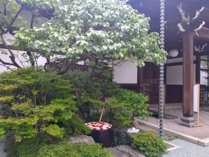 心行寺(東京都)