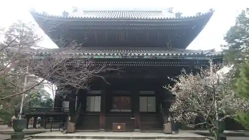 知恩院の本殿・本堂