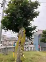 洲崎神社(神奈川県)