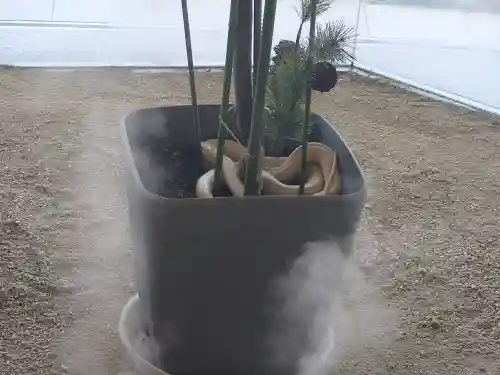 岩国白蛇神社の動物