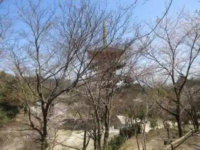 成相寺(京都府)