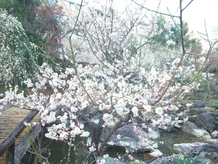 湯島天満宮の庭園