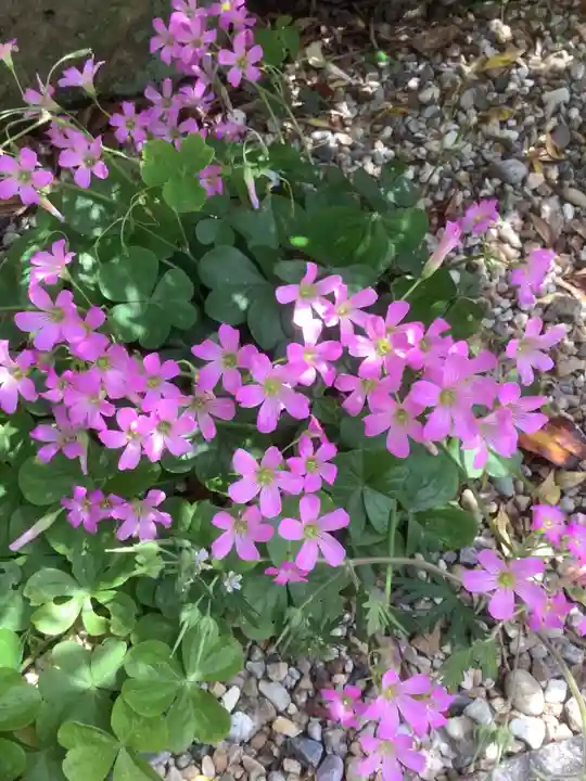 三輪神社の自然