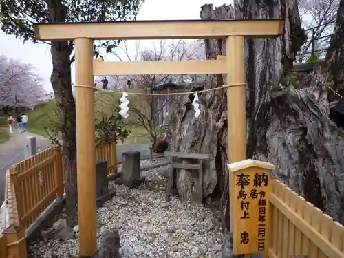 楠大明神の鳥居