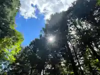 三峯神社(埼玉県)