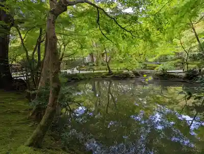圓光寺(京都府)