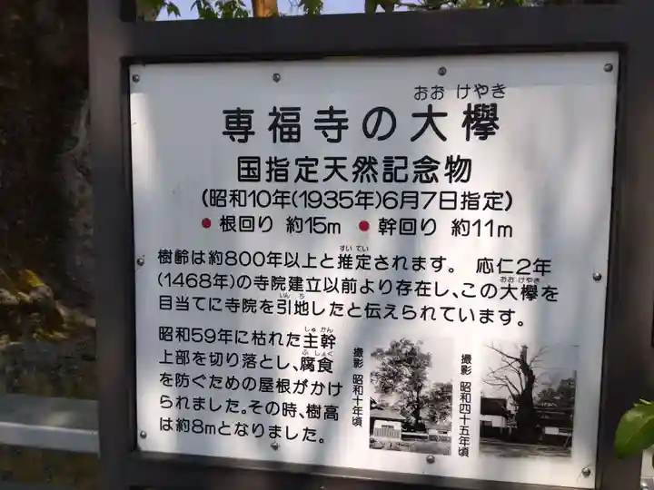 専福寺(福井県)