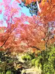 高野寺の自然