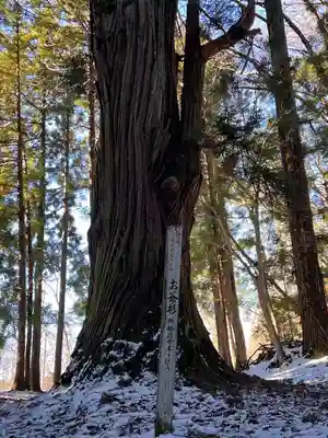 熊野神社(岩手県)