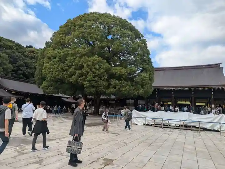 明治神宮(東京都)
