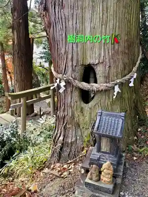 阿久津「田村神社」（郡山市阿久津町）旧社名：伊豆箱根三嶋三社(福島県)