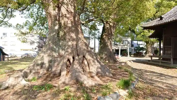 稲荷神社(村松原)の自然